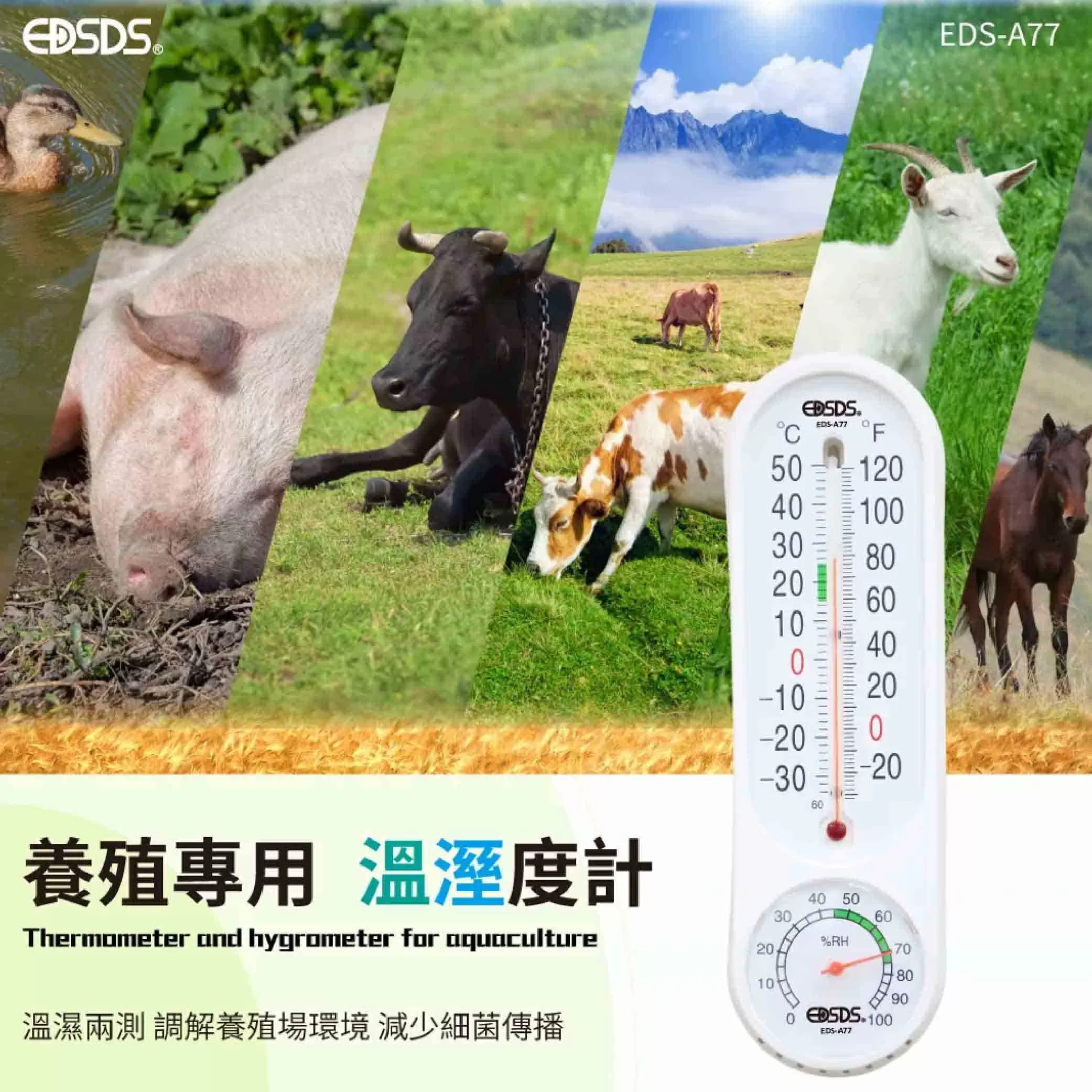 溫濕度計【液體顯示】商品介紹-1-2