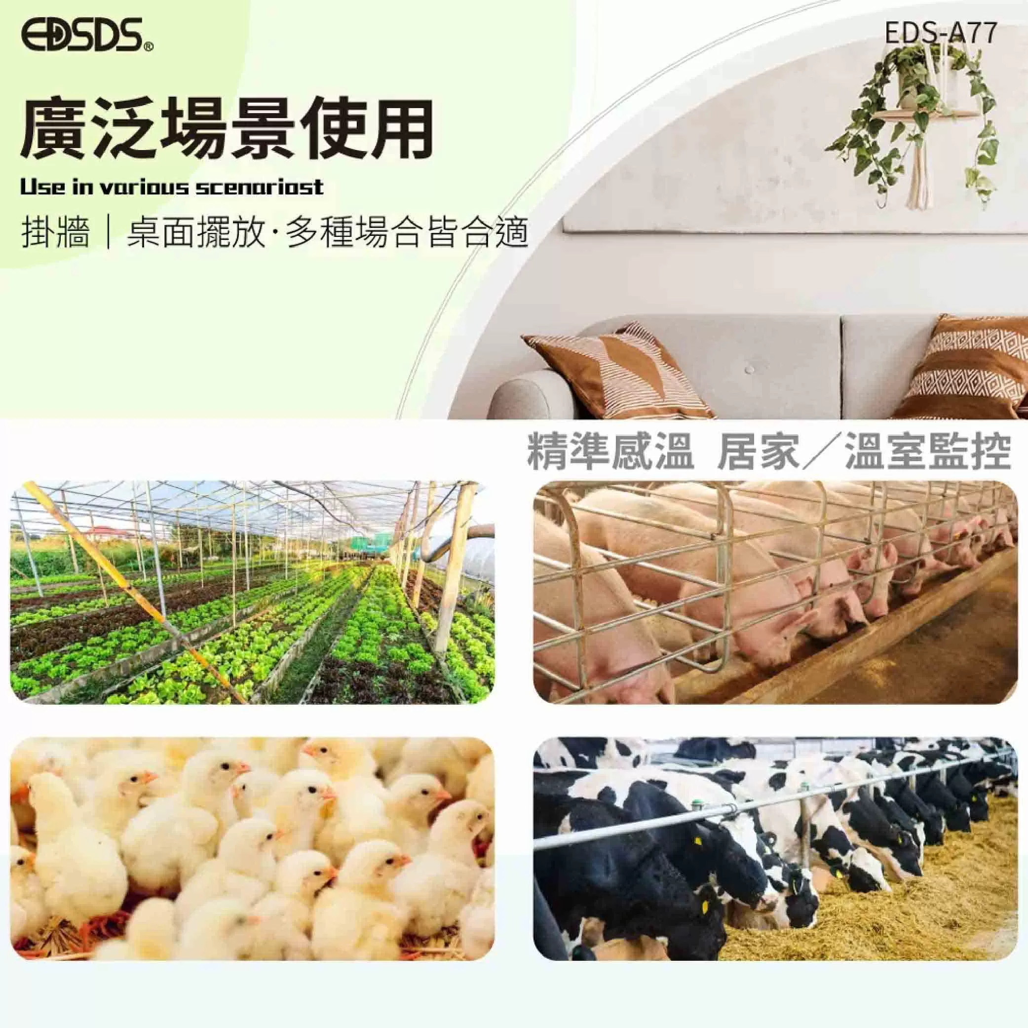 溫濕度計【液體顯示】商品介紹-1-7